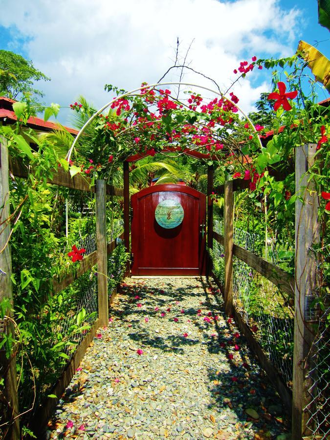 Casa Abundancyah B&B Бокас Екстер'єр фото